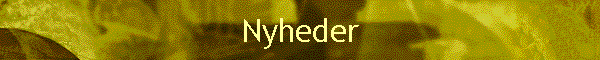 Nyheder