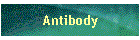 Antibody