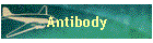 Antibody