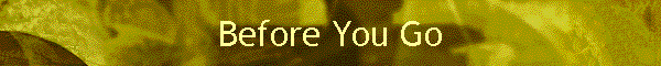 Before You Go