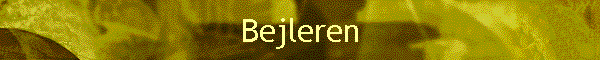 Bejleren