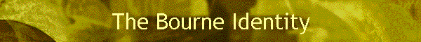 The Bourne Identity