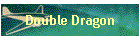 Double Dragon