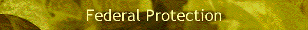 Federal Protection