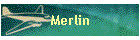 Merlin