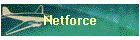 Netforce