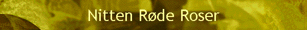 Nitten Rde Roser
