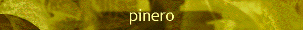 pinero