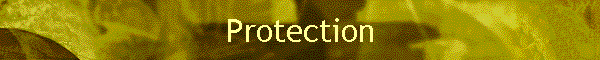 Protection