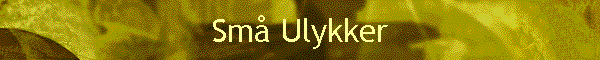 Sm Ulykker