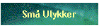 Sm Ulykker