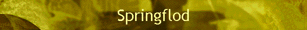 Springflod