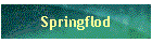 Springflod
