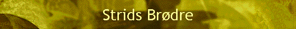 Strids Brdre