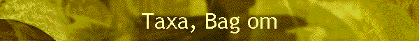 Taxa, Bag om