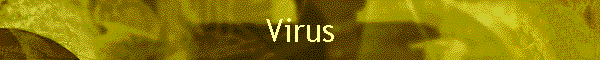 Virus